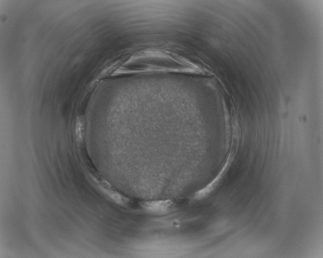 X0000079580191200612221440