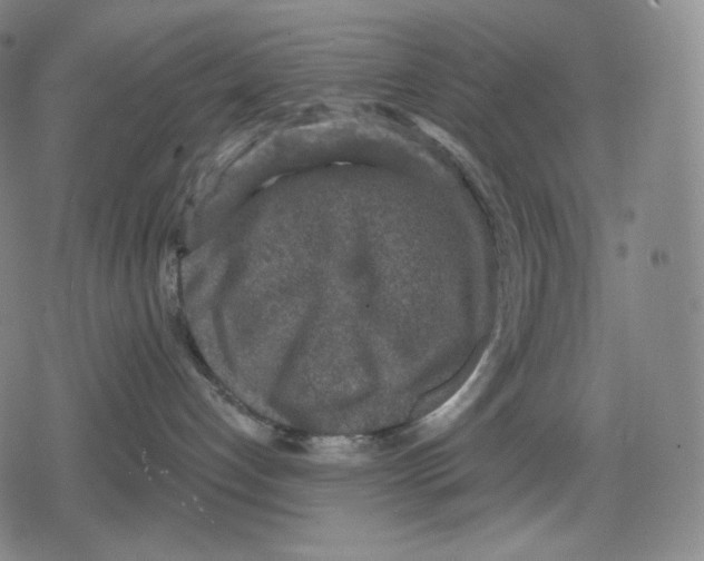 X0000079580192200612221440