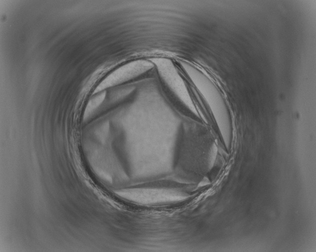 X0000079580193200612221439