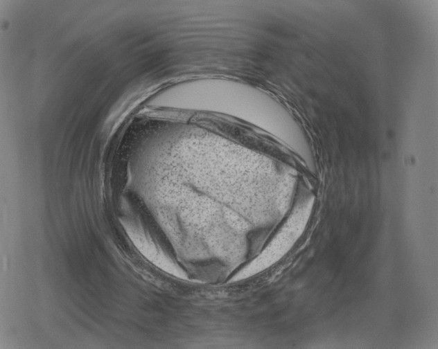 X0000079580194200612221439