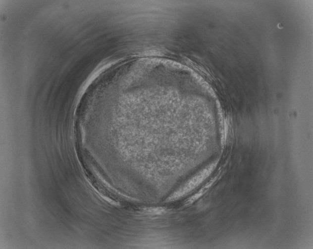 X0000079580195200612221439