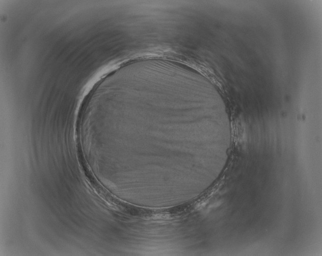 X0000079580196200612221439