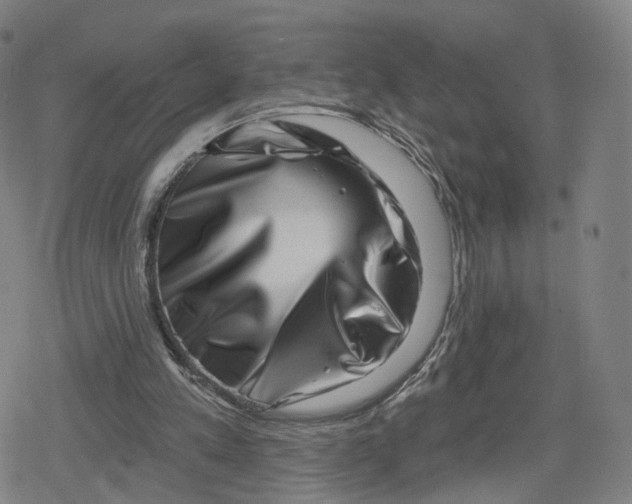 X0000079580197200612221439