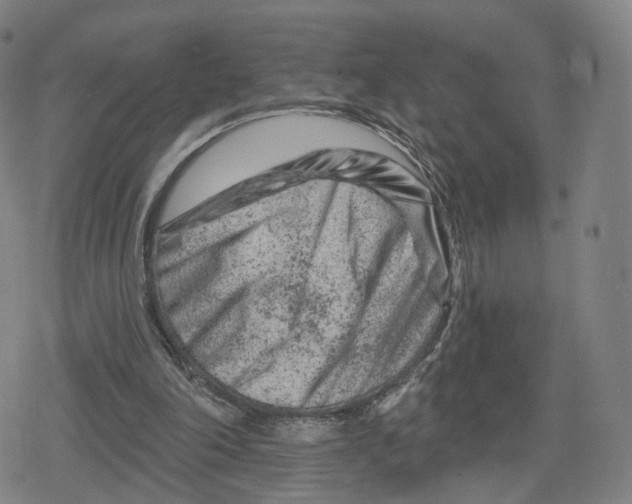 X0000079580198200612221439