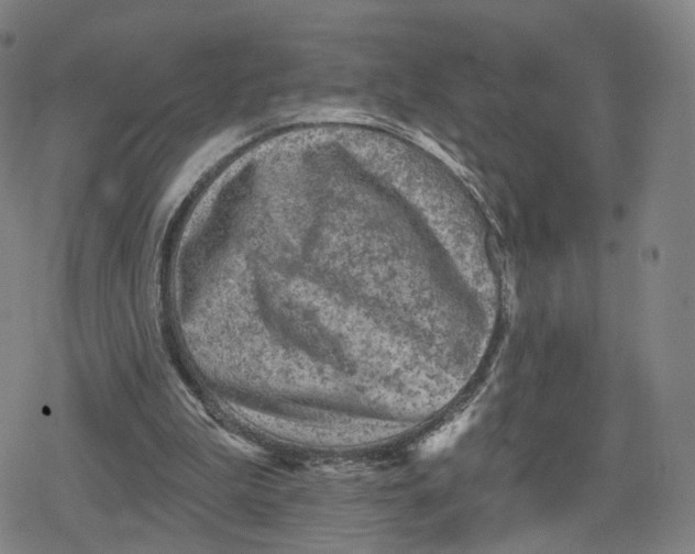 X0000079580199200612221439