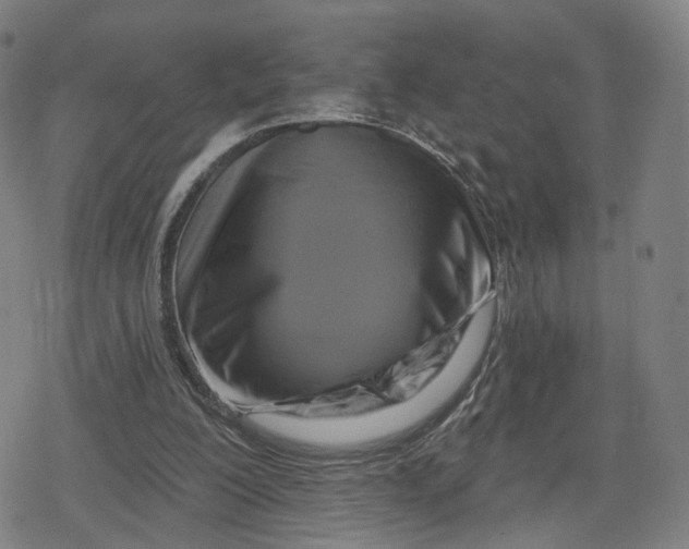 X0000079580200200612221439