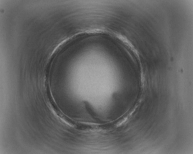 X0000079580201200612221439