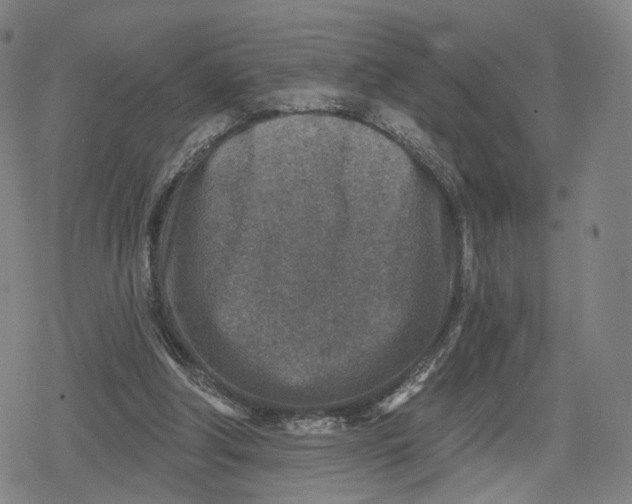 X0000079580202200612221439