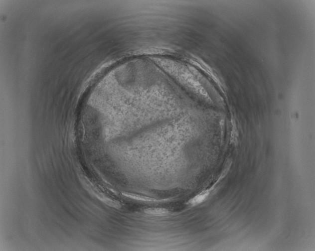 X0000079580203200612221439