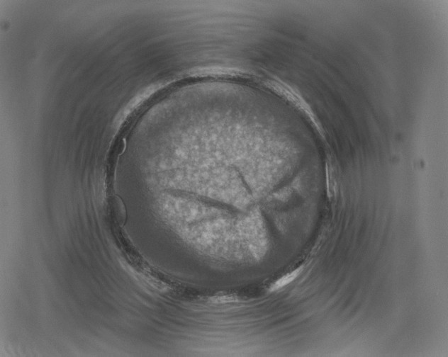 X0000079580204200612221439