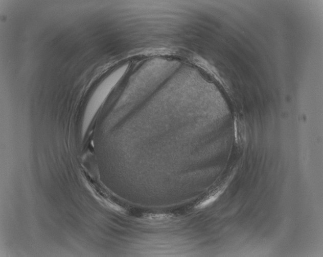 X0000079580205200612221439