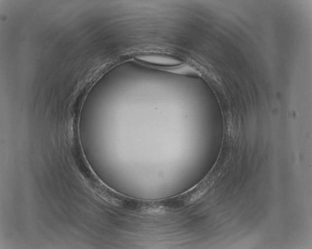 X0000079580206200612221439