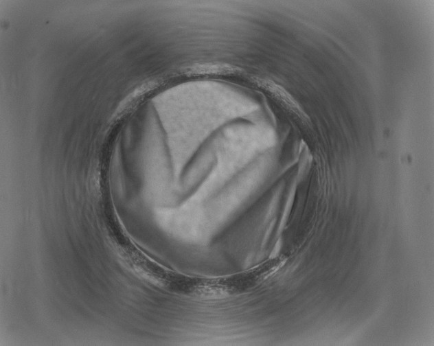 X0000079580207200612221439