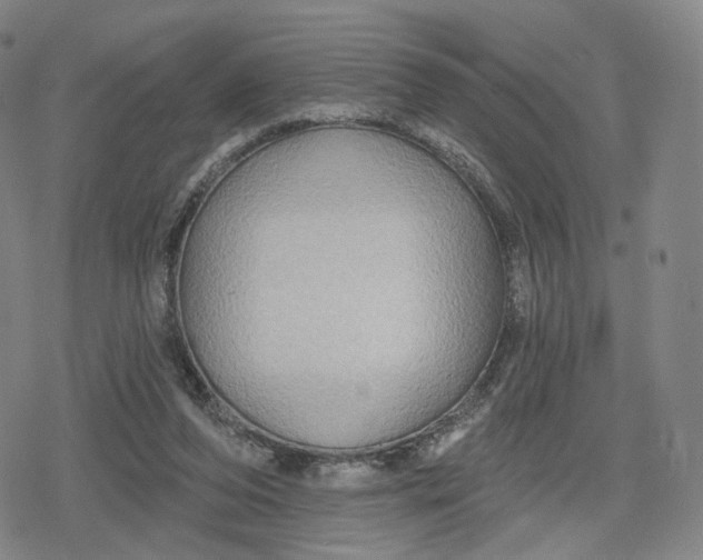 X0000079580208200612221439