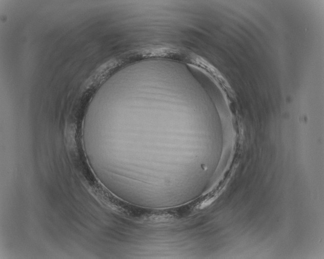 X0000079580209200612221439