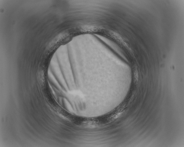 X0000079580211200612221439