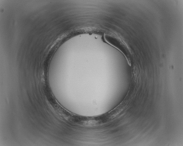 X0000079580212200612221439