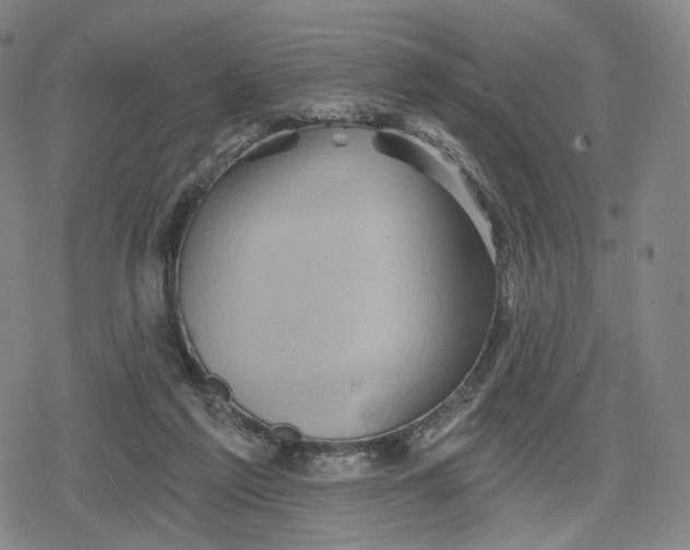 X0000079580213200612221439