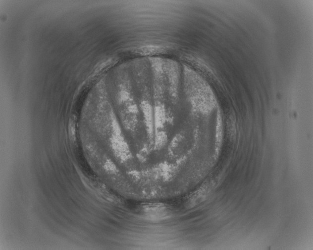 X0000079580214200612221439