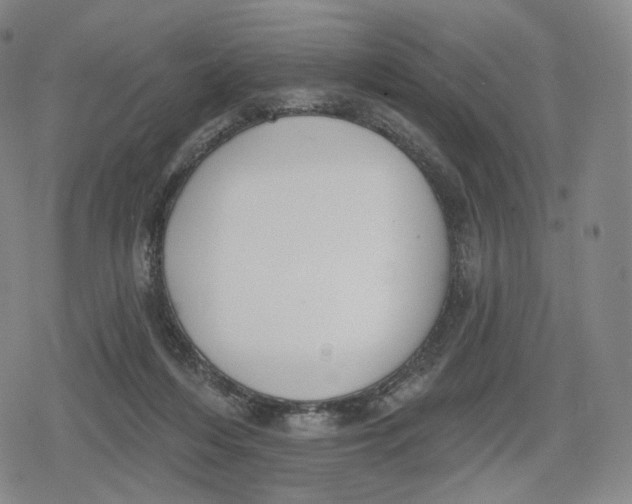 X0000079580216200612221439