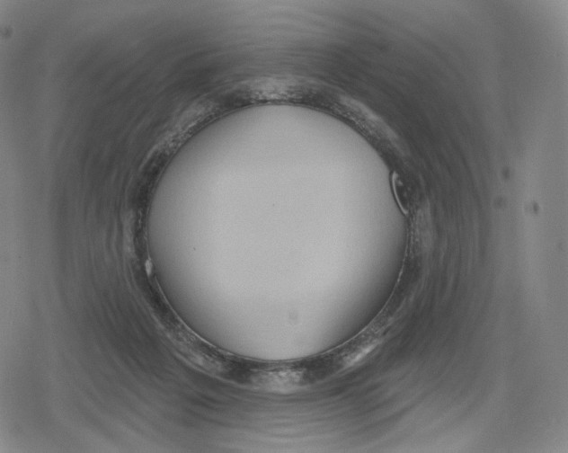 X0000079580217200612221439