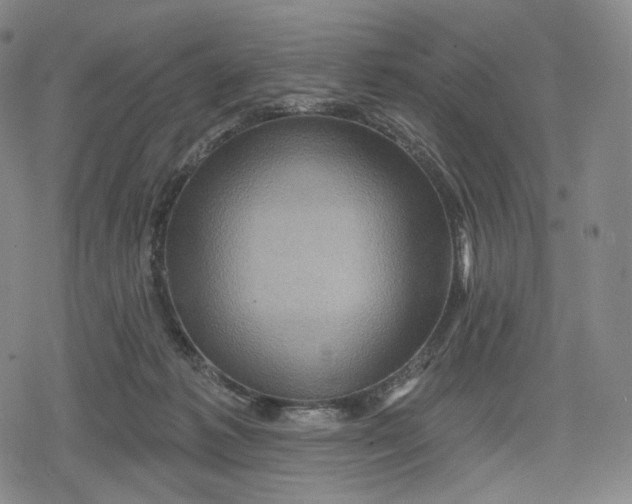 X0000079580221200612221438