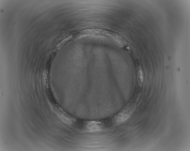 X0000079580222200612221438