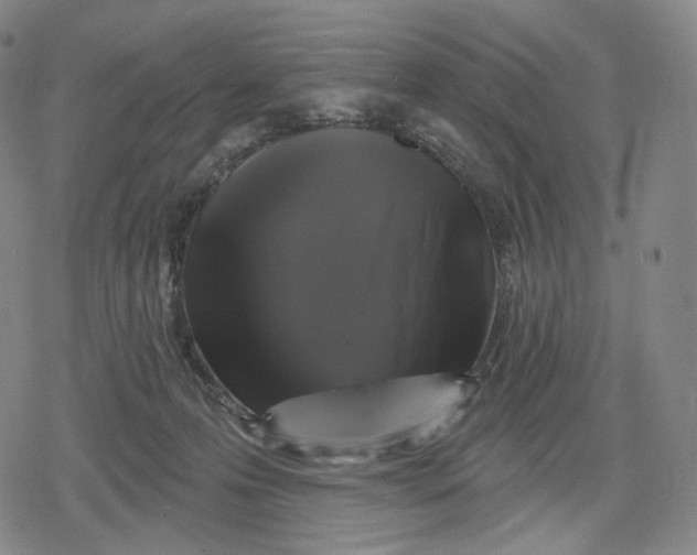 X0000079580223200612221438