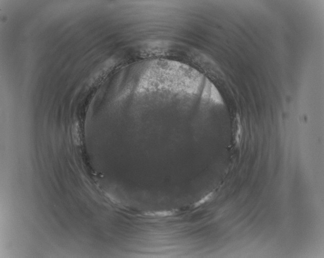 X0000079580224200612221438