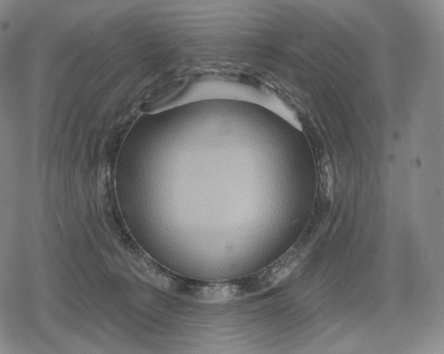 X0000079580225200612221438