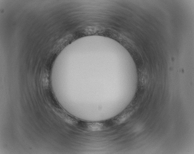 X0000079580226200612221438