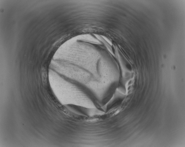 X0000079580228200612221438