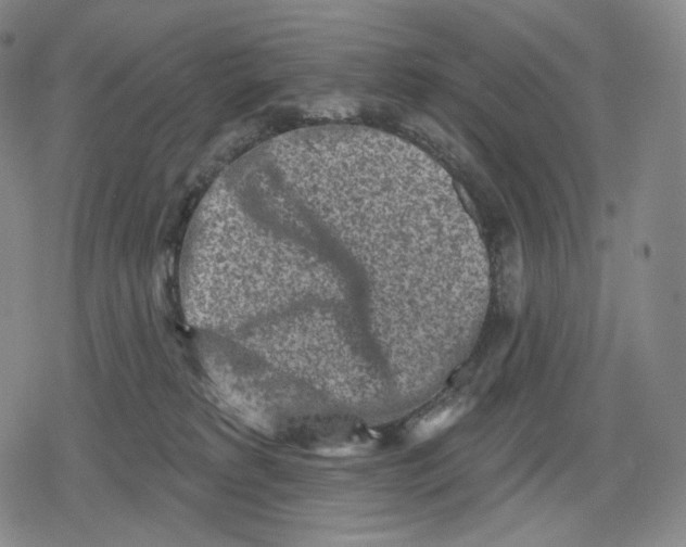 X0000079580229200612221438