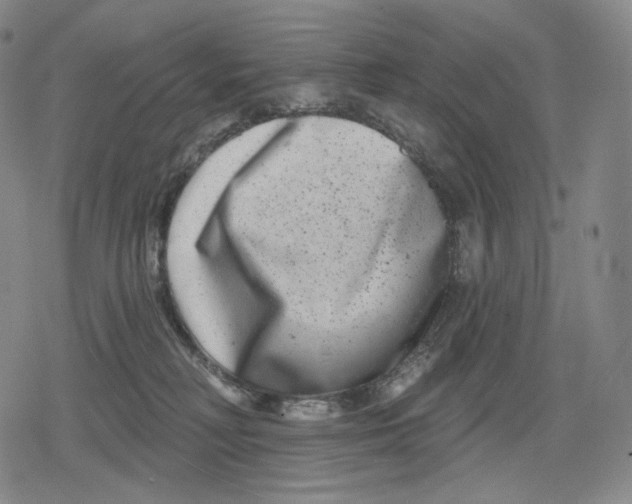 X0000079580230200612221438