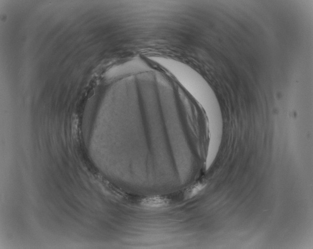 X0000079580231200612221438