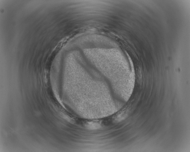 X0000079580232200612221438