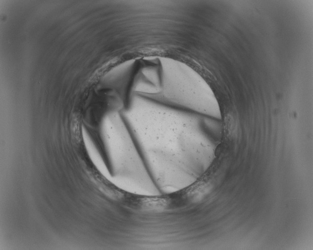 X0000079580234200612221438