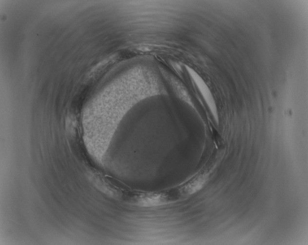 X0000079580235200612221438