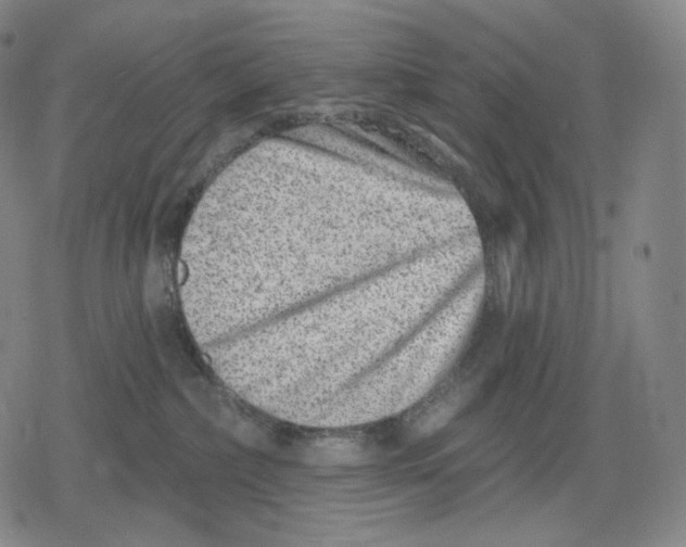 X0000079580236200612221438