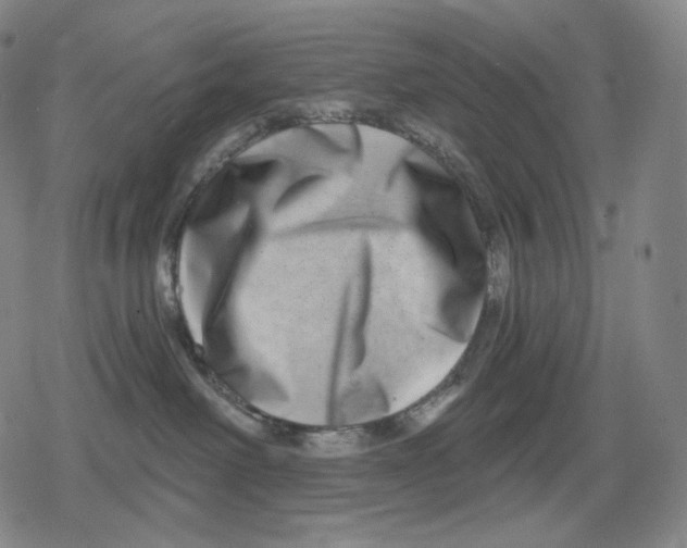 X0000079580238200612221438