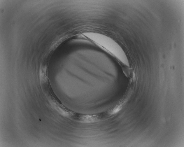 X0000079580239200612221438