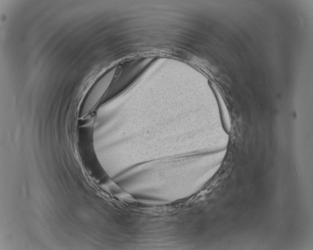 X0000079580241200612221437