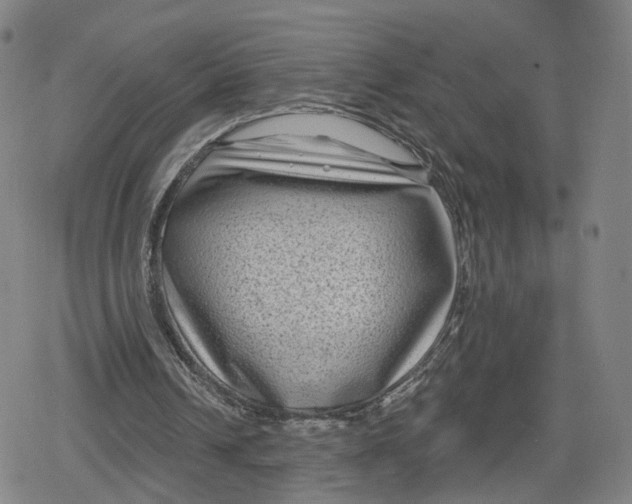 X0000079580242200612221437