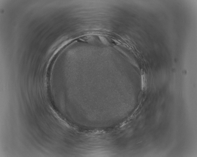 X0000079580243200612221437