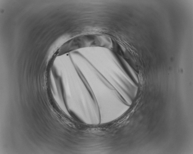 X0000079580244200612221437