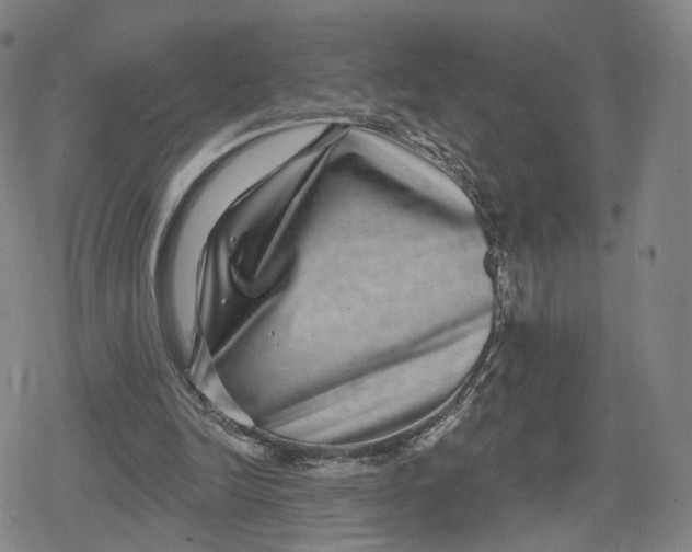 X0000079580246200612221437