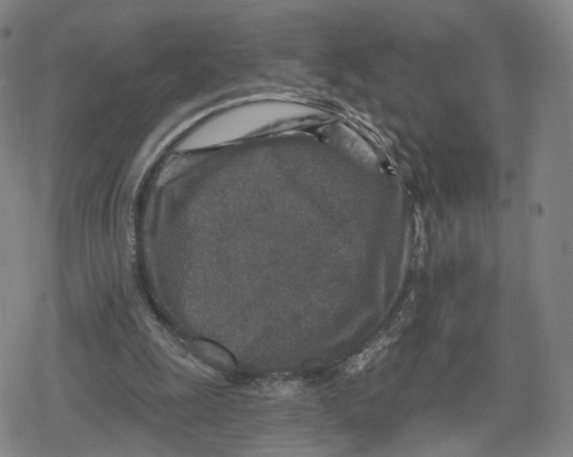 X0000079580247200612221438