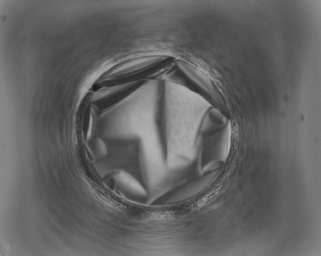 X0000079580248200612221438