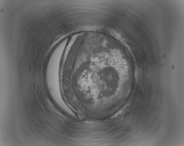 X0000079580249200612221438