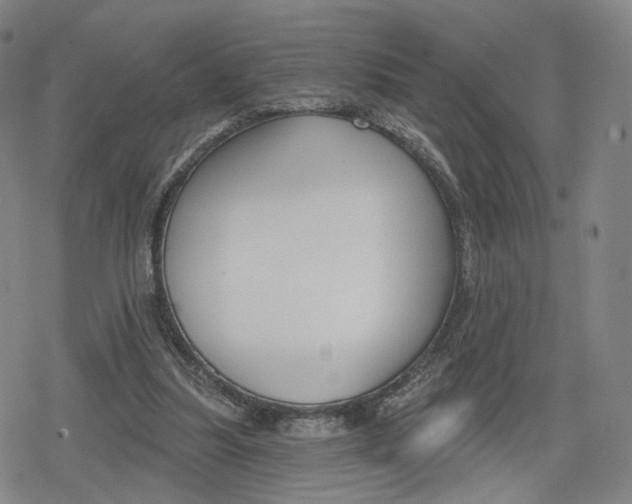 X0000079580251200612221438